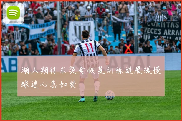 湖人期待东契奇恢复训练进展缓慢球迷心急如焚