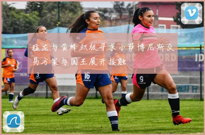 猛龙与黄蜂积极寻求小萨博尼斯交易方案与国王展开接触
